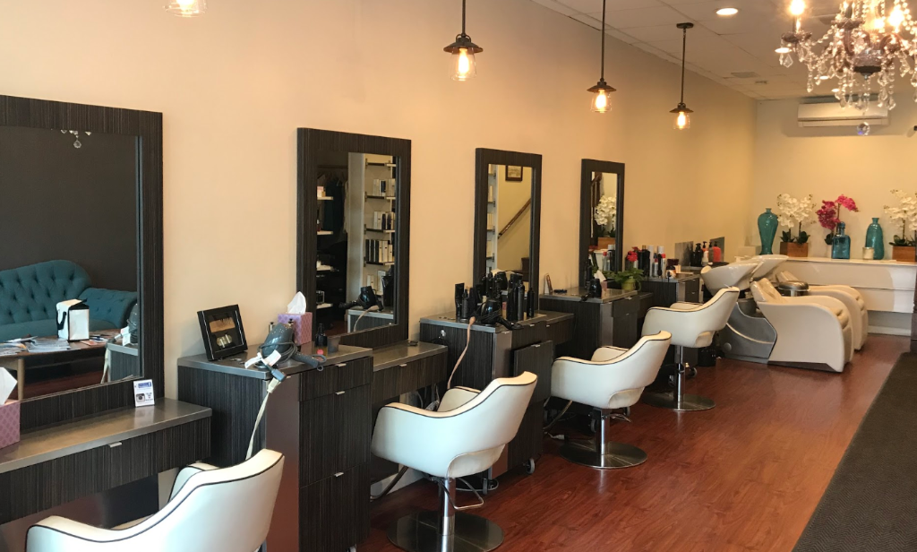 Lege Artis Salon Interior