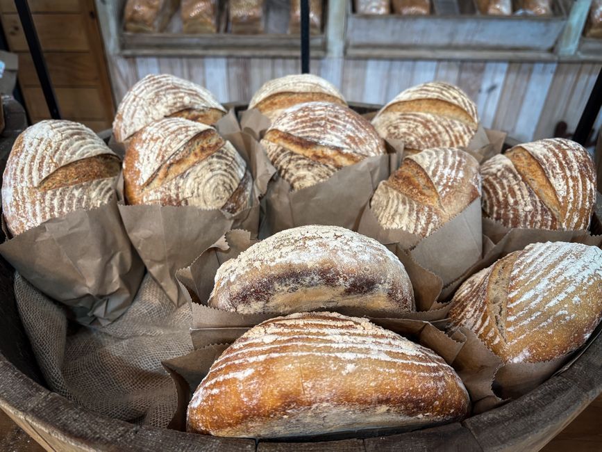 Bakery food, representative of the kind of dishes served