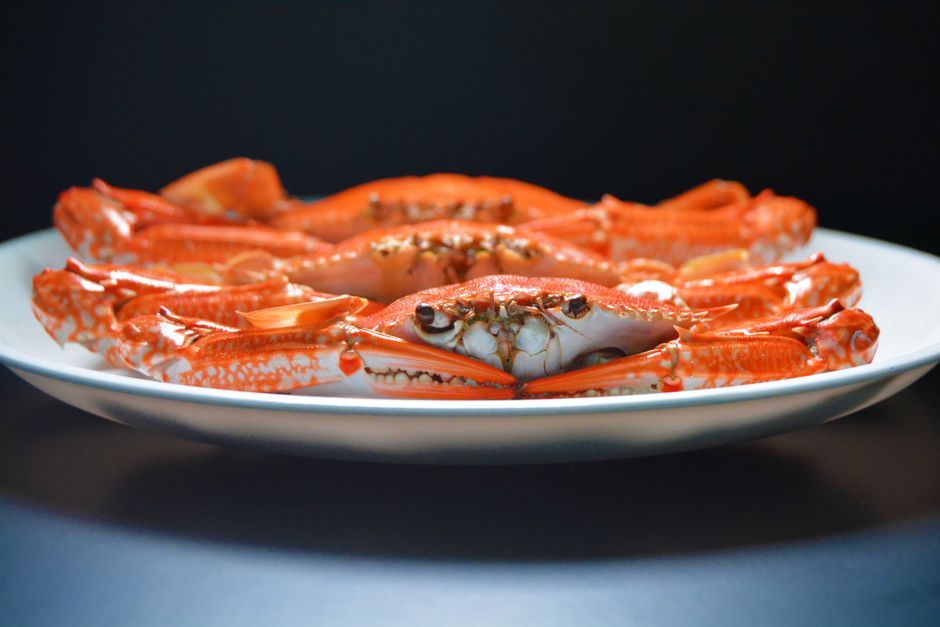 Seafood food, representative of the kind of dishes served